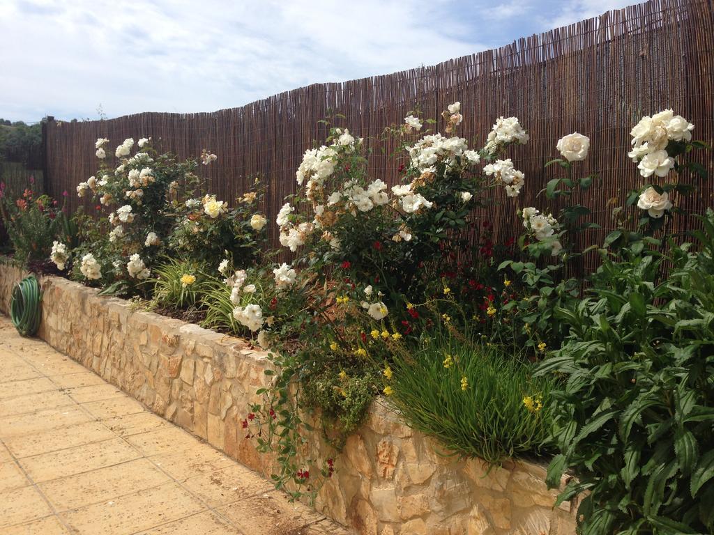 Casa Paula - Private Heatable Pool For Each House Lagos